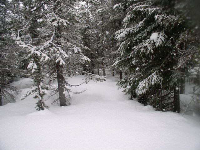 Ghost Ridge-Twin Lakes 038 